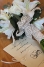 wedding-204